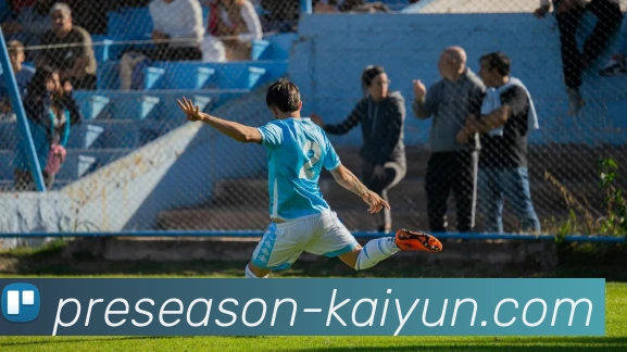 开云app平台生态图